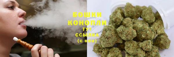 сатива Фурманов