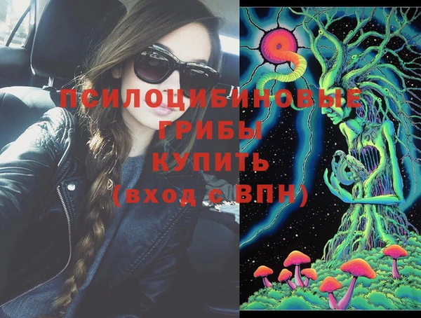 сатива Фурманов